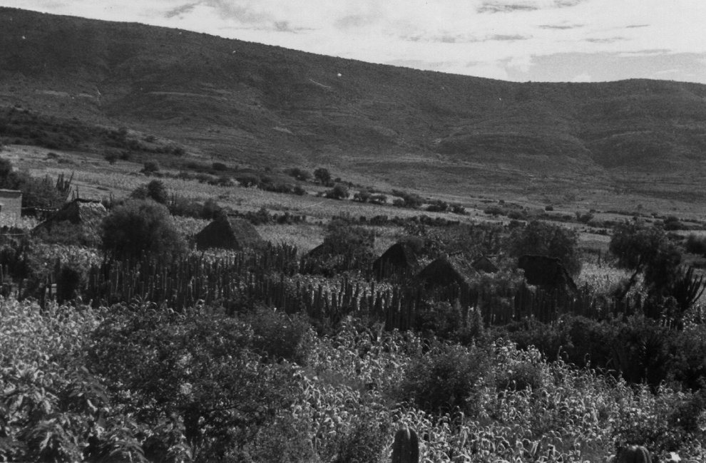 1937_08_20-2-007a-Mitla.jpg