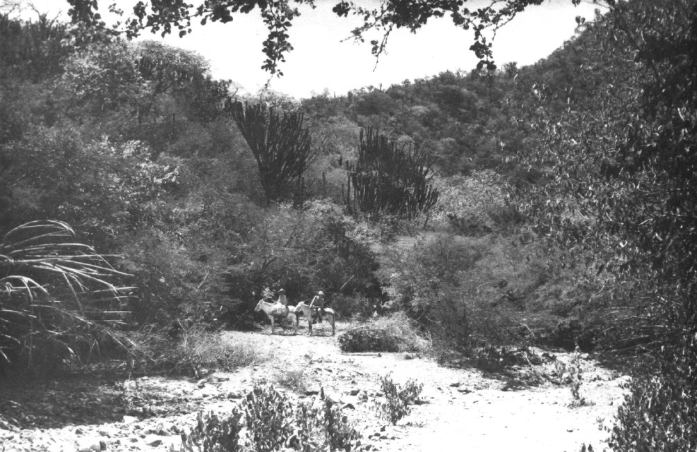 1937_08_21-2-049b-ClimbingEofRiver-TrailToSanCarlos.jpg