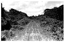 1937_09_02-3-103b-RailroadTracks-TransIsthmusRR.jpg
